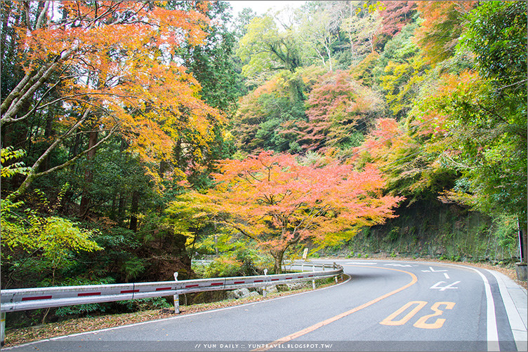 大阪自由行︱慢步箕面市山林．原來山中才是真正的楓林祕境