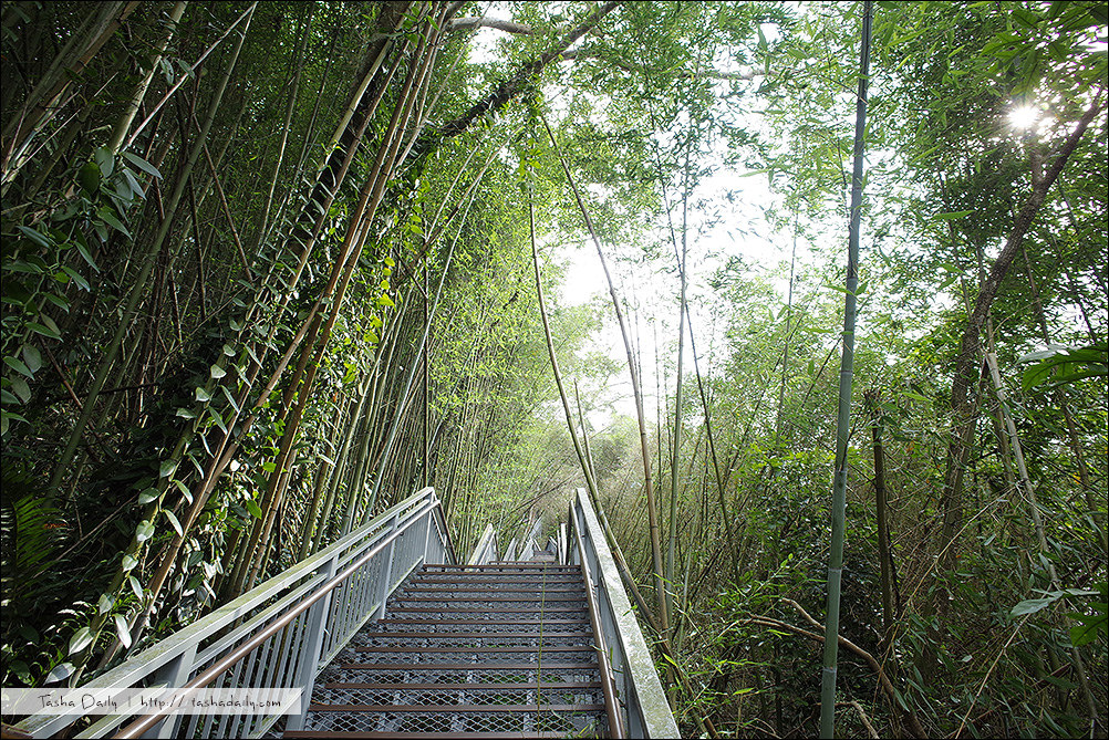信義鄉旅遊︱依希岸天時棧道．深山版的台北101、親近瀑布的必走步道
